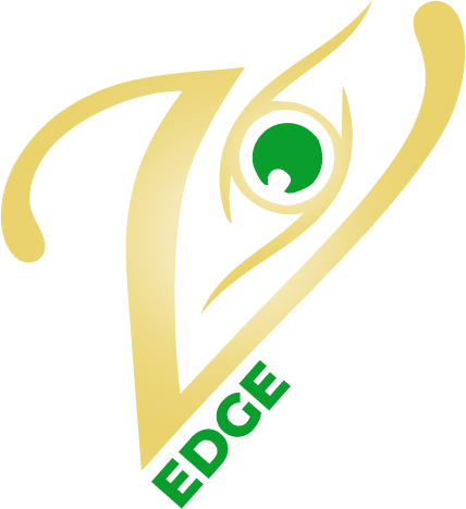 Vision Edge Studio Logo